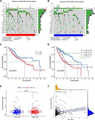 A novel necroptosis-related lncRNA signature predicts the prognosis and immune microenvironment of hepatocellular carcinoma